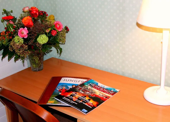 Basicrooms 2* Unterseen