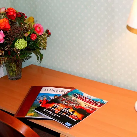 ベーシックルーム 2* Unterseen